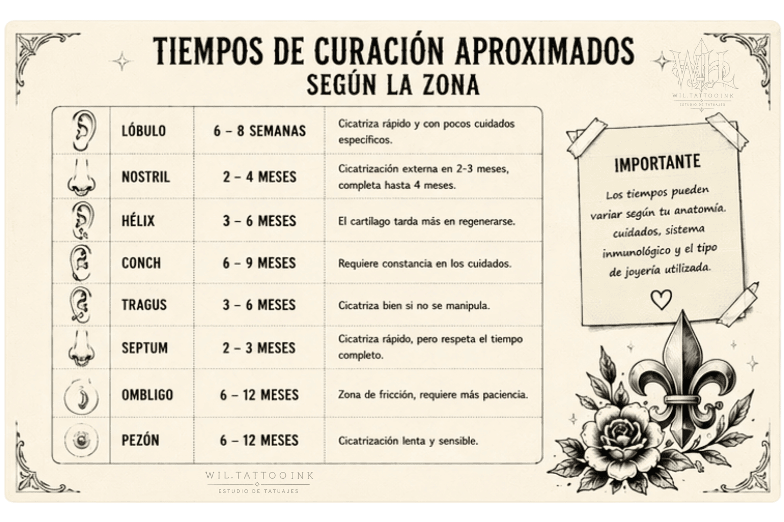 Tiempos de curación de piercings según la zona del cuerpo