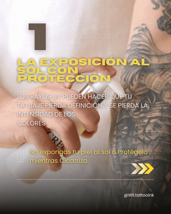 1 La Exposición al Sol Con Protección